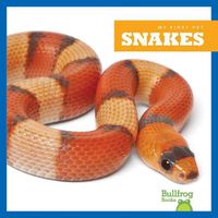 Cover image for Snakes