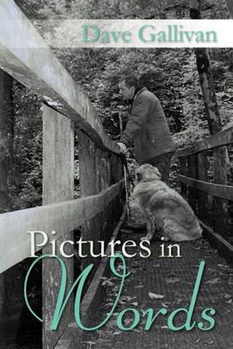 Cover image for Pictures in Words