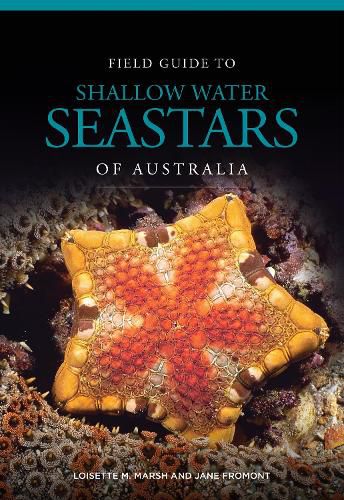 Cover image for Field Guide to Shallow Water Seastars of Australia