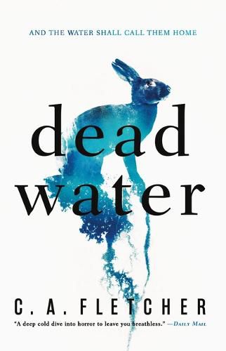 Cover image for Dead Water