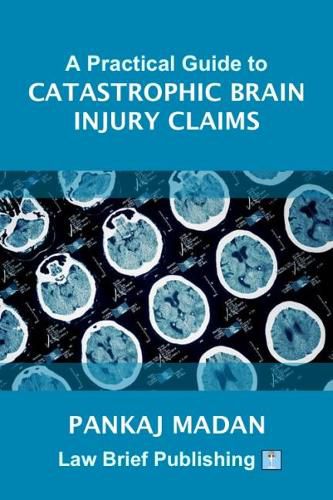 Cover image for A Practical Guide to Catastrophic Brain Injury Claims