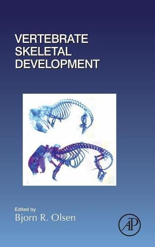 Cover image for Vertebrate Skeletal Development