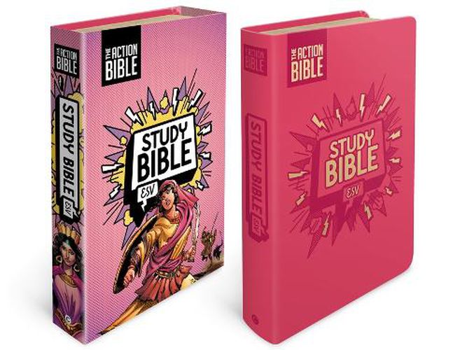 Cover image for AB STUDY BIBLE ESV PINK