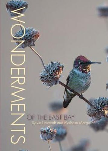 Cover image for Wonderments of the East Bay