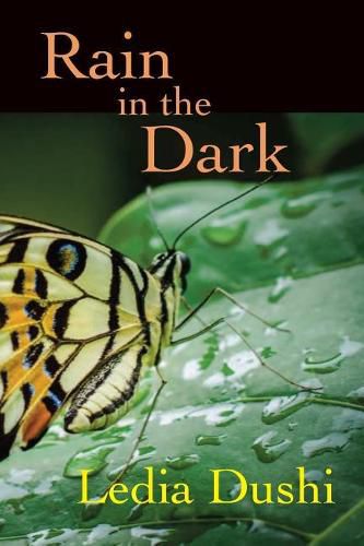 Cover image for Rain in the Dark