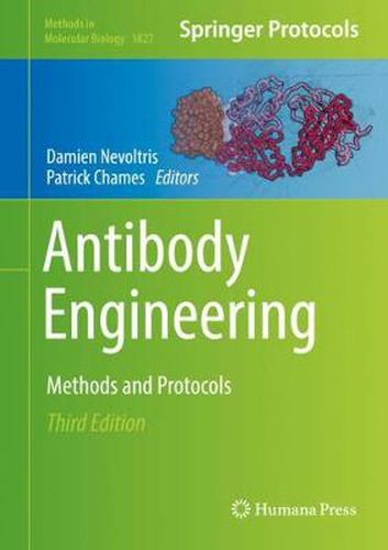 Cover image for Antibody Engineering: Methods and Protocols