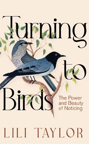 Cover image for Turning to Birds