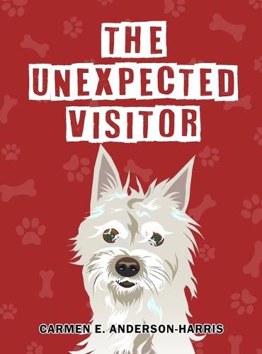 Cover image for The Unexpected Visitor