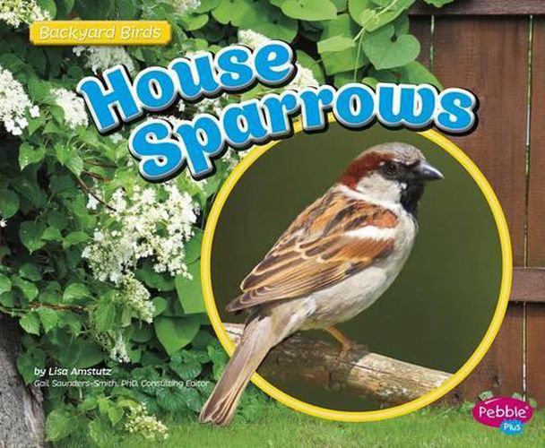 House Sparrows