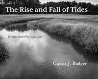 Cover image for The Rise and Fall of Tides