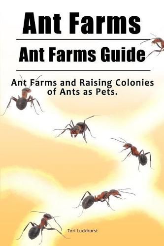 Cover image for Ant Farms. Ant Farms Guide. Ant Farms and Raising Colonies of Ants as Pets.