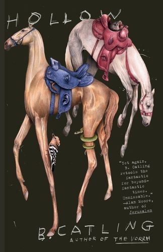 Cover image for Hollow