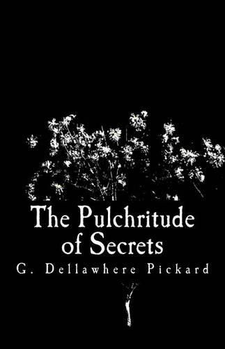 Cover image for The Pulchritude of Secrets