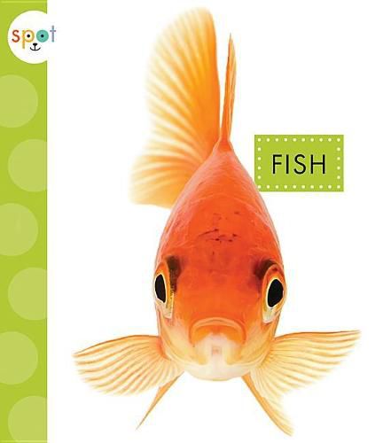 Cover image for Fish