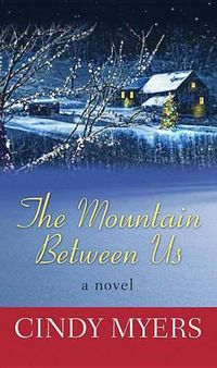 Cover image for The Mountain Between Us