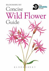 Cover image for Concise Wild Flower Guide