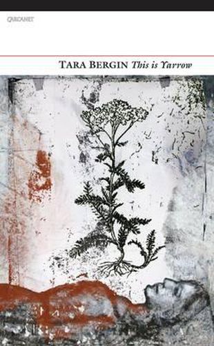 Cover image for This is Yarrow