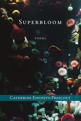 Cover image for Superbloom