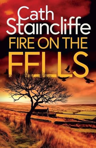 Cover image for Fire on the Fells