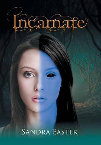 Cover image for Incarnate