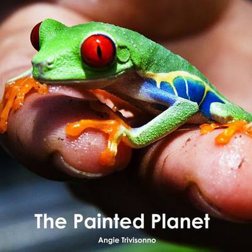 Cover image for The Painted Planet