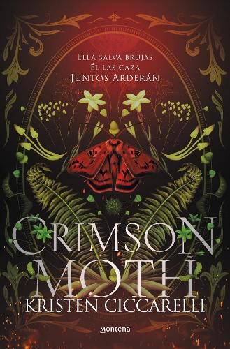 Cover image for Crimson Moth / Heartless Hunter
