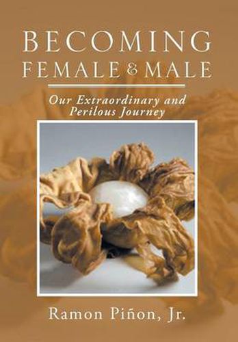 Cover image for Becoming Female and Male: Our Extraordinary and Perilous Journey