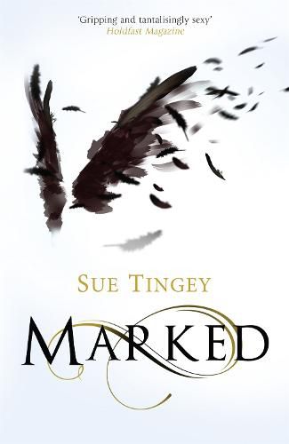 Cover image for Marked: the first in the magical The Soulseer Chronicles