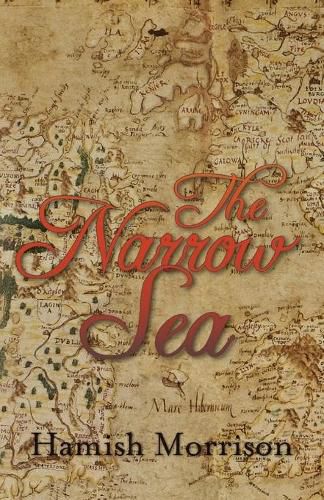 Cover image for The Narrow Sea