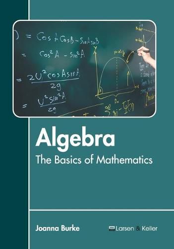 Cover image for Algebra: The Basics of Mathematics