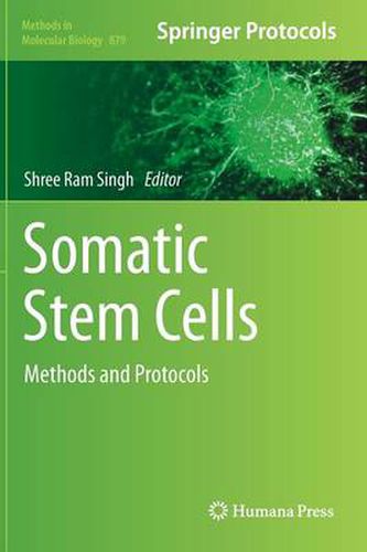 Cover image for Somatic Stem Cells: Methods and Protocols