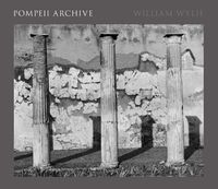 Cover image for Pompeii Archive