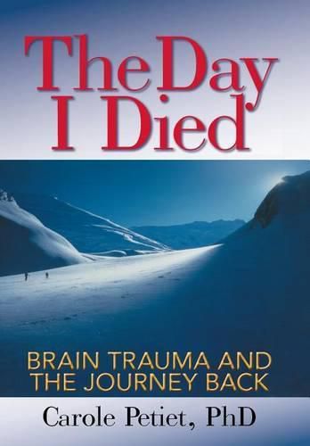 Cover image for The Day I Died: Brain Trauma and the Journey Back