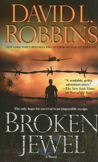 Cover image for Broken Jewel: A Novel