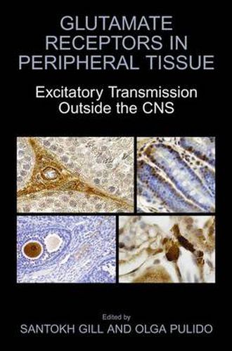 Cover image for Glutamate Receptors in Peripheral Tissue: Excitatory Transmission Outside the CNS