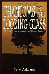 Cover image for Phantoms in the Looking Glass