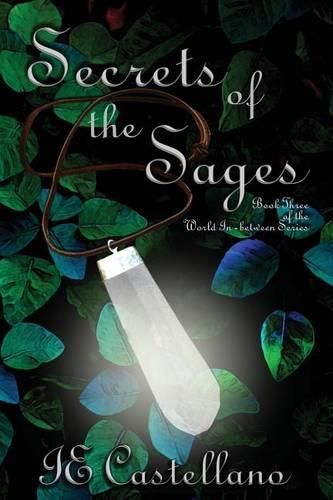 Cover image for Secrets of the Sages