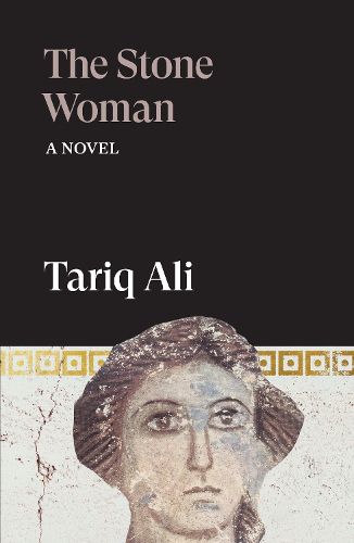 Cover image for The Stone Woman