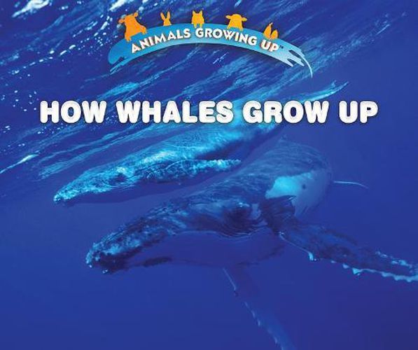 How Whales Grow Up