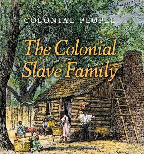 Cover image for The Colonial Slave Family