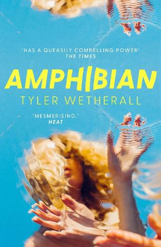 Cover image for Amphibian