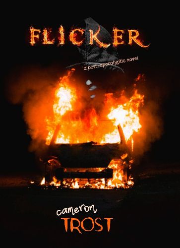 Cover image for Flicker