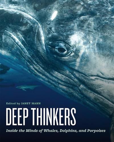 Cover image for Deep Thinkers: Inside the Minds of Whales, Dolphins, and Porpoises