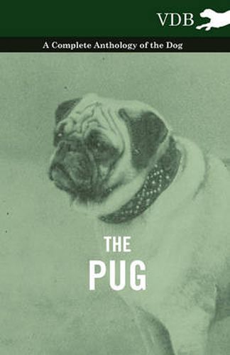 Cover image for The Pug - A Complete Anthology of the Dog