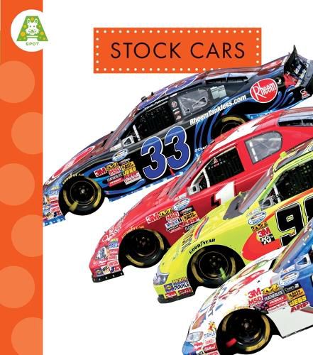 Cover image for Stock Cars