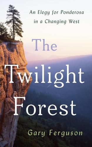 Cover image for The Twilight Forest