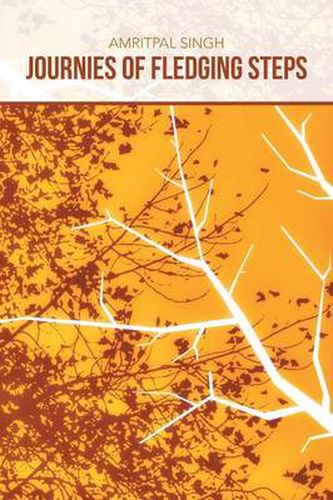 Cover image for Journies of Fledging Steps