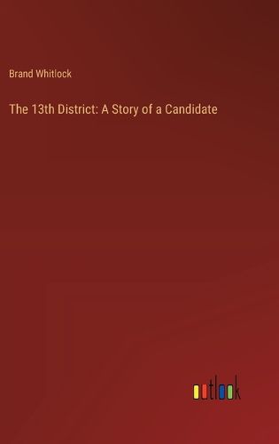 Cover image for The 13th District