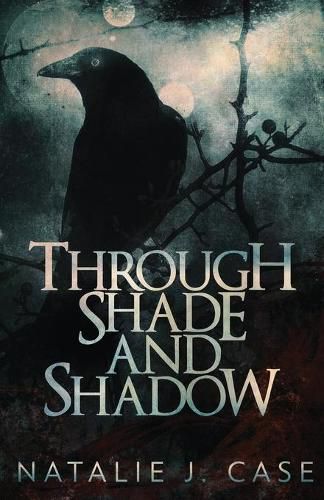 Cover image for Through Shade And Shadow