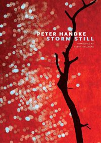 Cover image for Storm Still